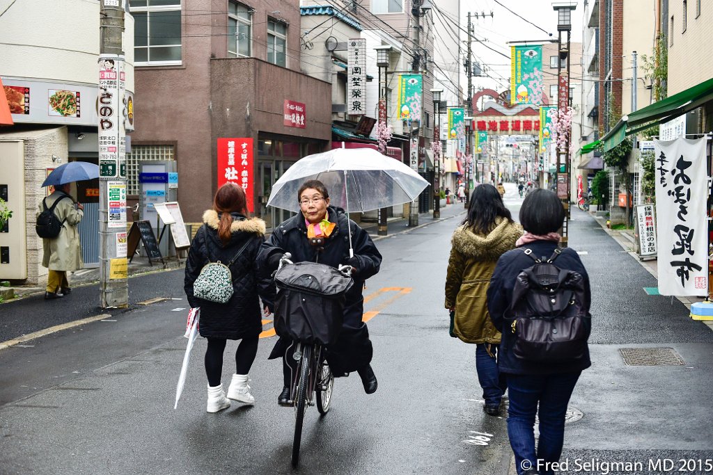 20150309_114820 D4S.jpg - Bicycle transportation, Tokyo (Currently usage about 15% vs 1% NYC.  A push to make Tokyo more bike friendly for 2020 Olympics.